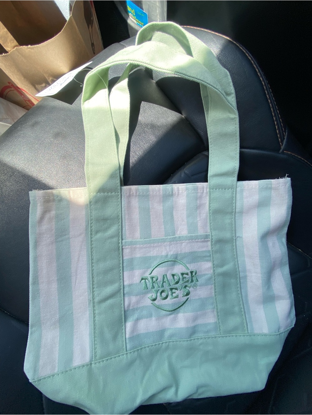 Trader Joe's Mint Stripe Canvas Tote Bag